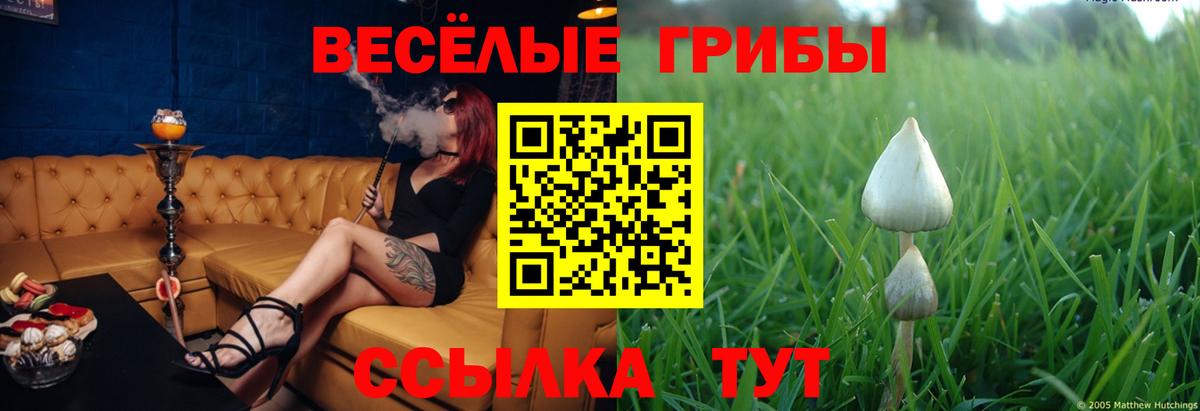 Псилоцибиновые грибы GOLDEN TEACHER Уварово
